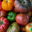 Heirloom Tomato Festival at the Farmer’s Market – Aug. 22nd