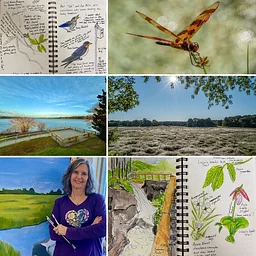 Intro to Nature Journaling