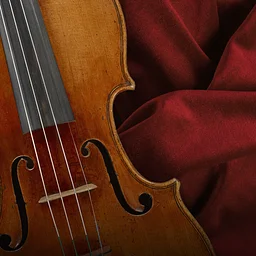 Tampa Bay Symphony: Passion & Power
