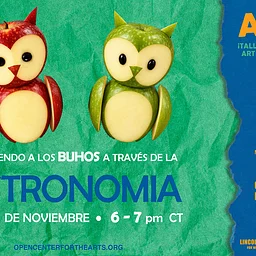 Artecito Virtual Owls 🦉