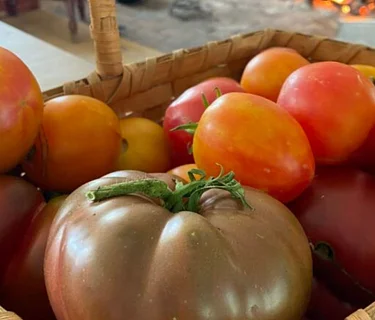 Heirloom Vegetable (Walk & Talk)