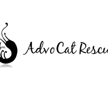 Advocat Rescue at the Museum of the Moving Image, Queens