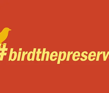 Bird Walk