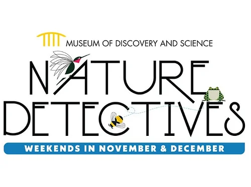 Nature Detectives Weekends in November and December