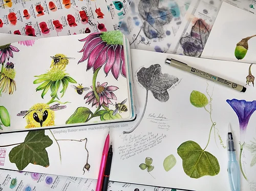 Introduction to Nature Journaling