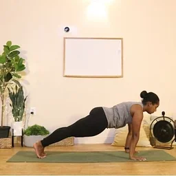 Vinyasa 101: Part 2 with Dr. Candace Harding, PT