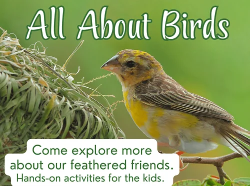 Visit to Grimes Public Library