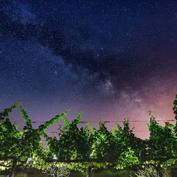 Stargazing at Corey Creek ft. East End Eats Catering