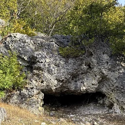 Tour of the Turtle’s Back: Ancient Mackinac Island