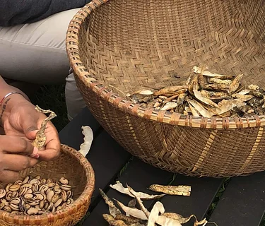 Community Working Wednesday