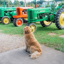 Antique Tractor Show