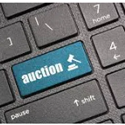 McLaughlin Garden Online Auction