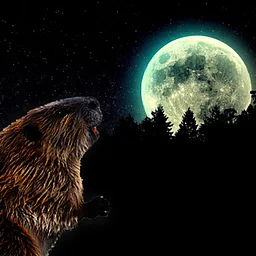 Beaver Full Moon Hike, Beaver Pond