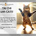 Tai Chi with Cats