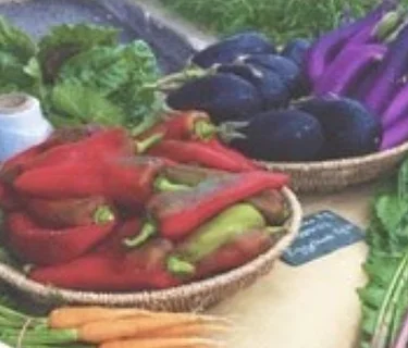 New Lenox Farmers Market