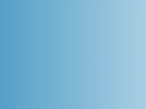 The Night Sparrow Online Book Talk with Author Shelly Sanders