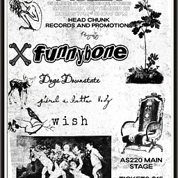 funnybone + dogs downstate + find a better body + wish
