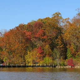 Fall Foliage Kayak
