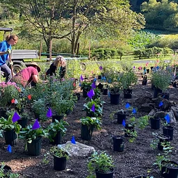 Planting in Action Tour