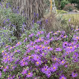 October Garden Tour