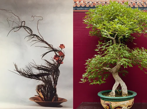 The Art of Ikebana and Bonsai
