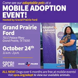 Mobile Adoptions @ Grand Prairie Ford