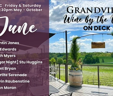 Live Music! Wine by the Vine at grandviewwith Ryan Moran