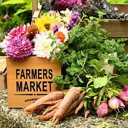 GCM Lincoln Park Farmer’s Market