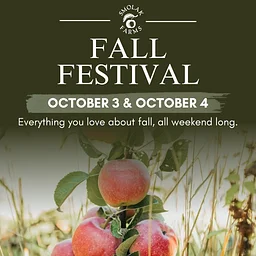 Fall Festival Weekend
