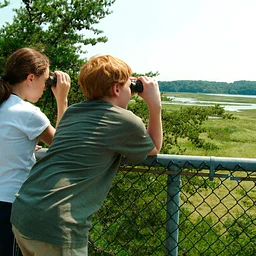 Bird Watching at Jug Bay