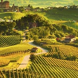 Brianza Wine Series:Italy