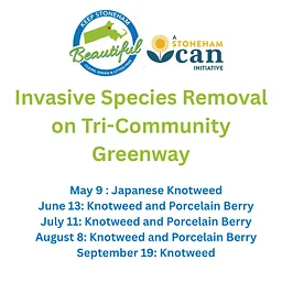 Tri-Community Greenway Invasive Species Removal
