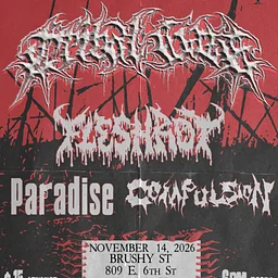 Tribal Gaze / Fleshrot / Paradise / Compulsion
