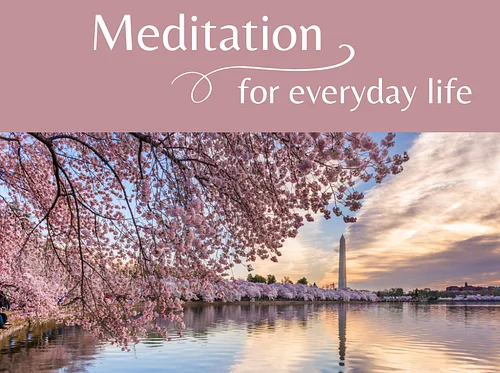 Mindfulness Meditation for Everyday Life