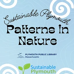 Patterns in Nature (Plymouth)
