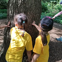 Sensory Celebration