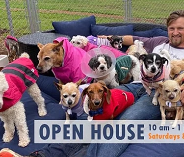 Frosted Faces Foundation Open House