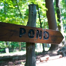 Nanderwhere Pond Public Planting Event