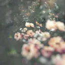 Ashley Woodson Bailey: What Remains
