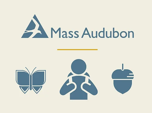 Friday Night Hikes (Marshfield)