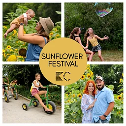 Sunflower Festival {Fam Friendly, Ticketed}