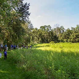 Tot Trot: Camping