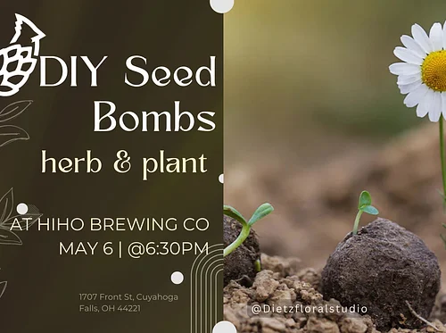 Patio Pots & Native Plant Bomb Workshop