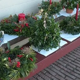 Holiday Greens Sale