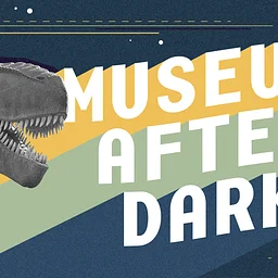 Museum After Dark