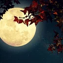 Nature Walk: Full Moon with Bats | Registration Required