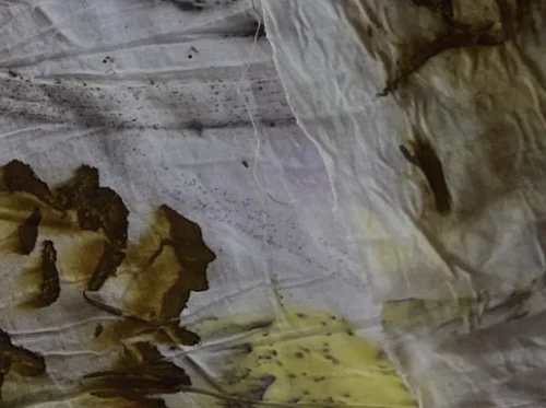 Natural Dye Tea Towels