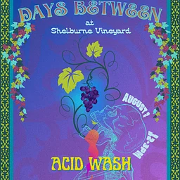 Days Between Show with Acid Wash, Dan Weintraub, & Charlie Schramm