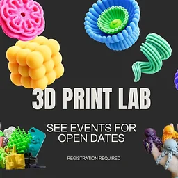 3D Print Lab