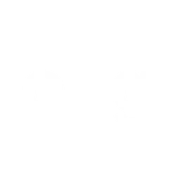 AIA Long Island
